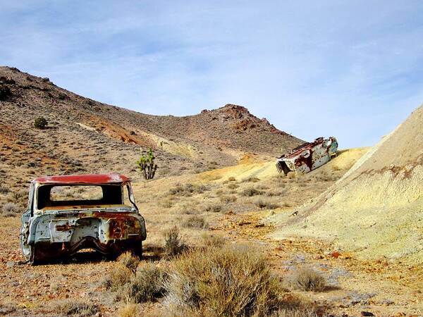 Cars Poster featuring the photograph Desert Relics by Marilyn Diaz