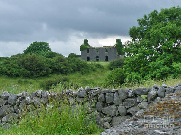 Ireland Poster featuring the photograph Deserted building in Ireland by Brenda Brown