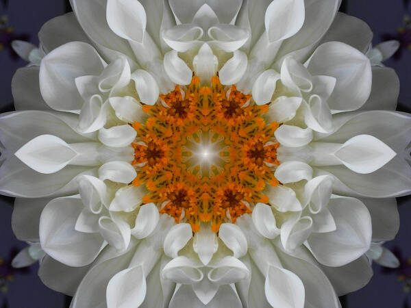 Mandalas Poster featuring the digital art Divine Love Flower Mandala by Diane Lynn Hix