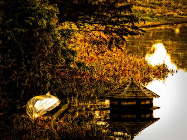 Antique Poster featuring the photograph Duck House by Mark Llewellyn