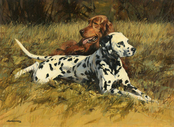 Dalmation Poster featuring the painting Duke n Dooley by Don Langeneckert