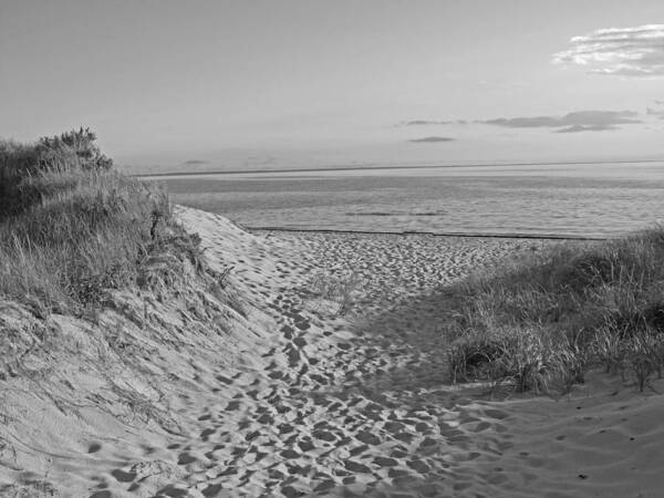 Cape Cod Poster featuring the photograph Dunes Walk by Barbara McDevitt