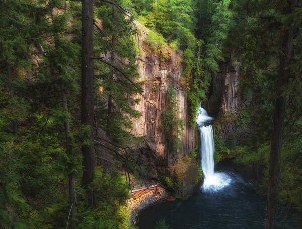 Water Falls Poster featuring the photograph Earthen Tears by James Heckt