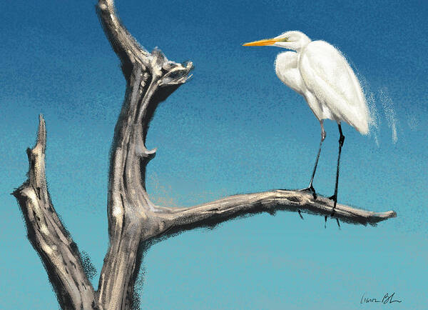 Egret Poster featuring the digital art Egret by Aaron Blaise