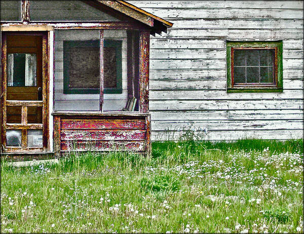 House Poster featuring the photograph Empty nest by John Anderson