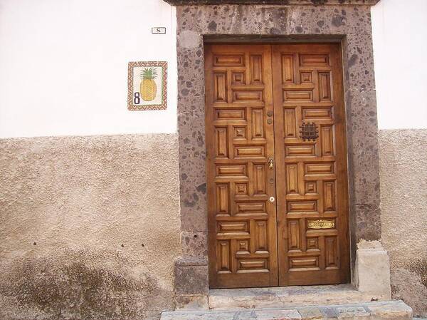 Door Poster featuring the photograph Entry Door by Lisa Weber