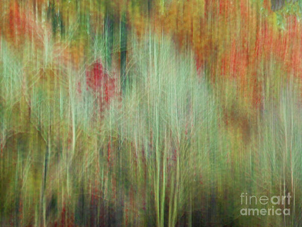 Art Prints Poster featuring the photograph Fall Color Abstract 2 by Dave Bosse