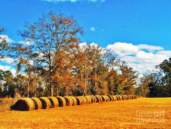 Hay Poster featuring the photograph Fall Hayfield by Southern Photo