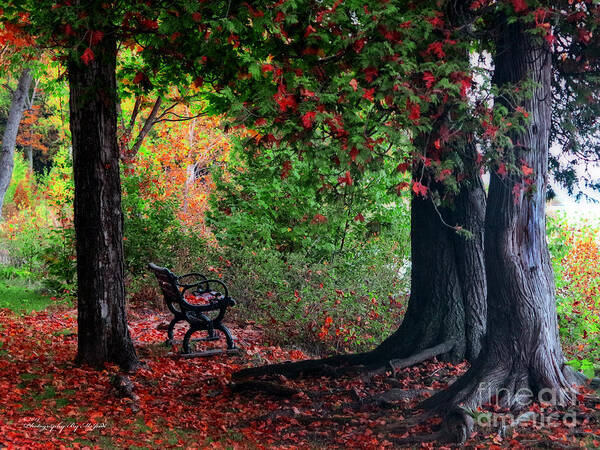 Autumn Poster featuring the photograph Fall In Henes Park by Ms Judi