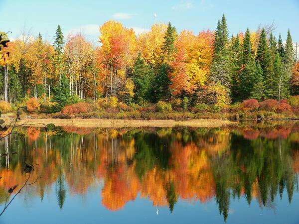 Autumn Landscape Poster featuring the photograph Fall Reflections by Elaine Franklin