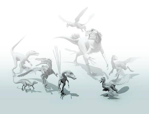 Animal Poster featuring the photograph Feathered Dinosaurs by Mikkel Juul Jensen
