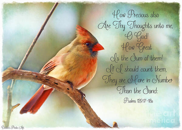 Cardinal Poster featuring the photograph Female Northern Cardinal with verse by Debbie Portwood