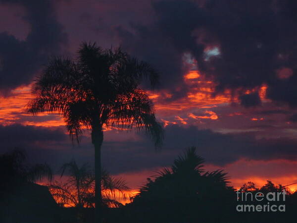 Fiery Sunset In Florida Poster featuring the photograph Fiery Sunset in Florida by Robert Birkenes