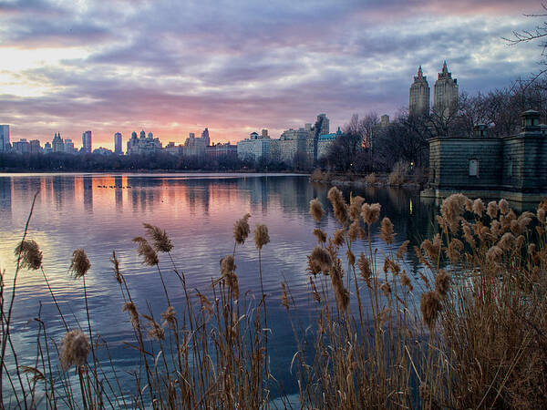 Sunsets Poster featuring the photograph Final Sunset of 2011 by Cornelis Verwaal