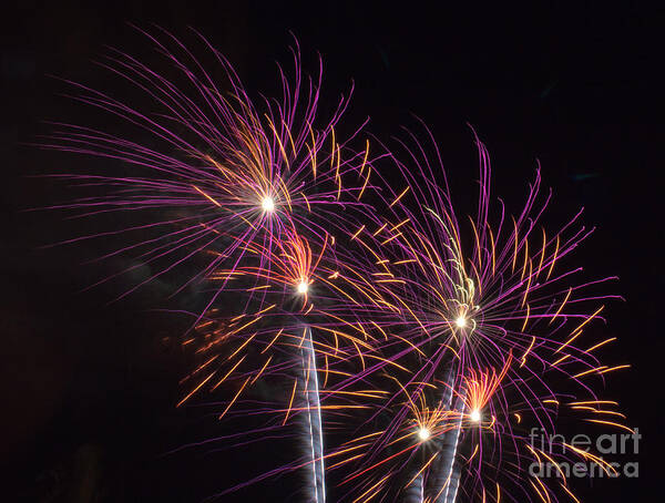 Tinas Captured Moments Poster featuring the photograph Fire Works by Tina Hailey