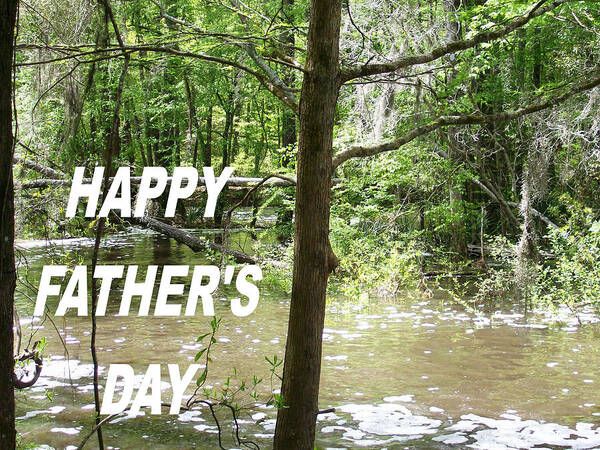 #fathersday #fishing #hole #mill #pond #oakfield #georgia Poster featuring the photograph Dads Fishing Hole by Belinda Lee