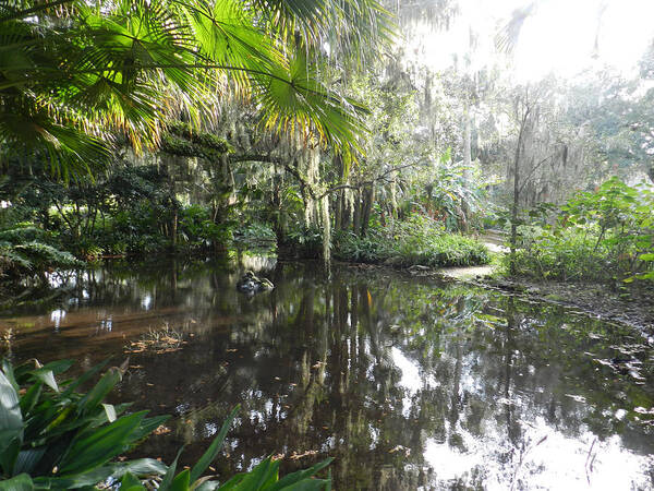 Nature Poster featuring the photograph Florida Garden Pond by Deborah Ferree