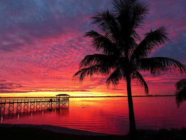 Sunset Poster featuring the photograph Florida Sunset II by Elaine Franklin