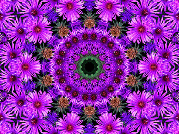 Kaleidoscope Poster featuring the photograph Flower Power by Kristie Bonnewell