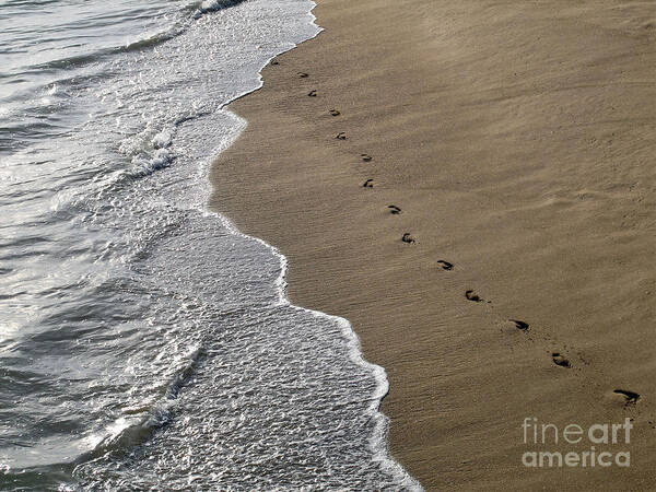 Sand Poster featuring the photograph Footprints by Kelly Holm