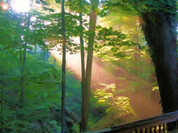 Landscape Poster featuring the photograph Forest Sunbeam by Dennis Lundell