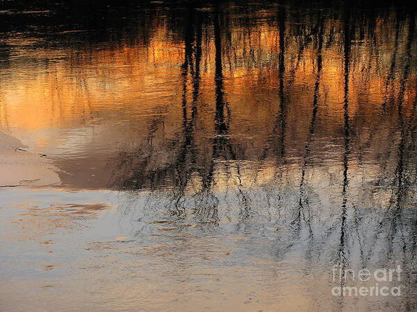 Reflections Poster featuring the photograph Foster Sunset Abstract by Lili Feinstein
