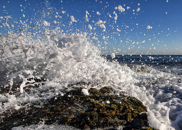 Australia Poster featuring the photograph Froth and Bubble by Howard Ferrier