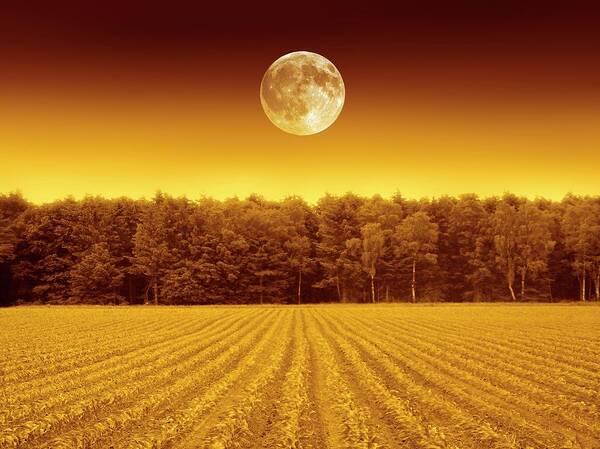 Nobody Poster featuring the photograph Full Moon Over A Field by Detlev Van Ravenswaay