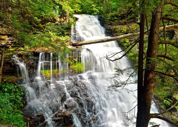 Ganoga Poster featuring the photograph Ganoga Up Close by Frozen in Time Fine Art Photography