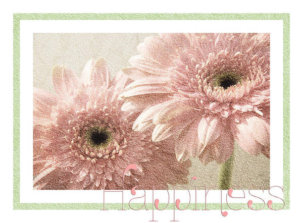 Gerber Poster featuring the photograph Gerber Daisy Happiness 3 by Andee Design