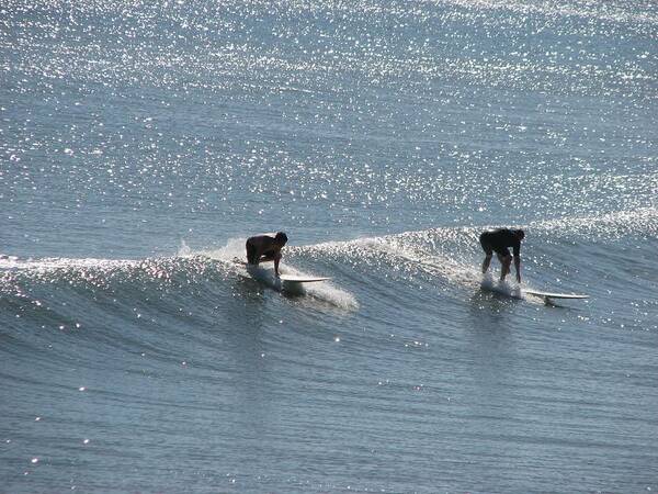 Surf Poster featuring the photograph Getting Up by Peggy Burley