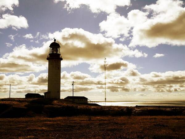 Golden Poster featuring the photograph Golden Cape Race Lighthouse by Zinvolle Art