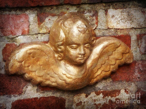 Angel Poster featuring the photograph Golden Cherub by Valerie Reeves