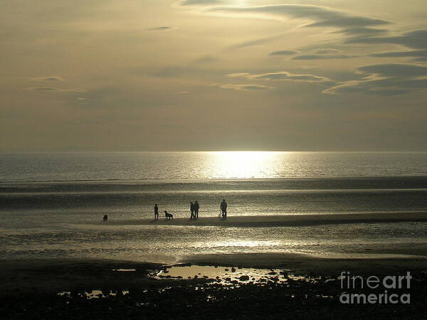 Walney Beach Poster featuring the photograph Golden Light on Walney Beach by Avis Noelle