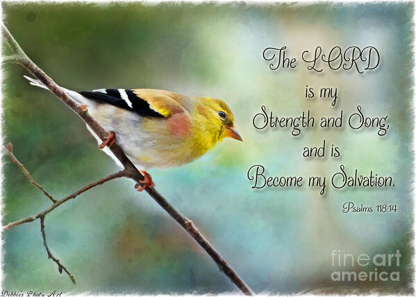 Yellow Poster featuring the photograph Goldfinch with Rosy Shoulder - Digital Paint and Verse by Debbie Portwood