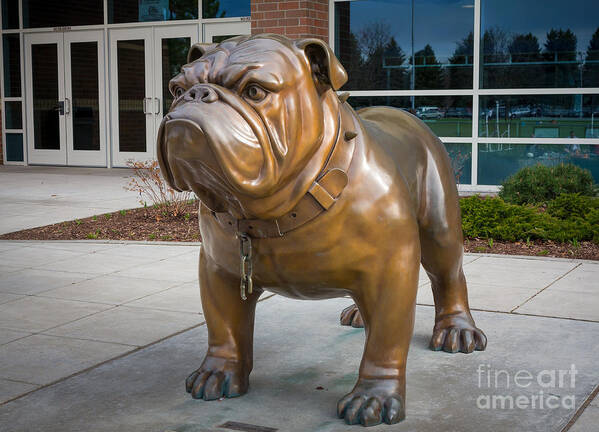 America Poster featuring the photograph Gonzaga Bulldog by Inge Johnsson