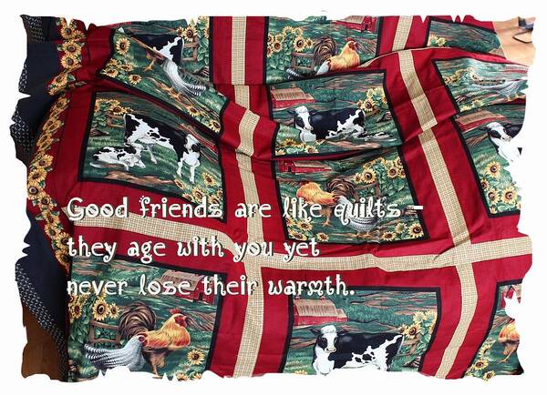 Good Friends Are Like Quilts Poster featuring the photograph Good Friends Are Like Quilts by Barbara A Griffin