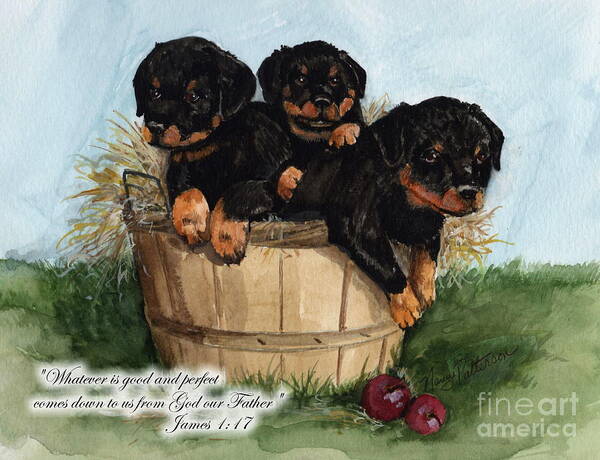 Rotty Pups Poster featuring the painting Good Rotty Pups by Nancy Patterson
