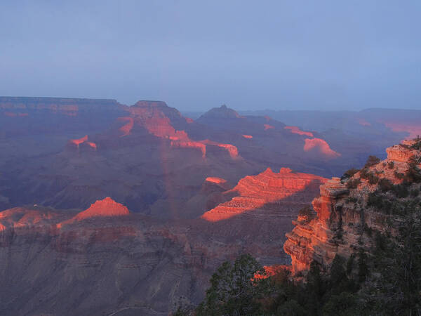 Grand Canyon Poster featuring the photograph Grand Canyon at Sunset by Jayne Wilson