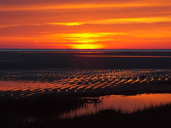 Sunrise Poster featuring the photograph Greetings by Dianne Cowen Cape Cod Photography