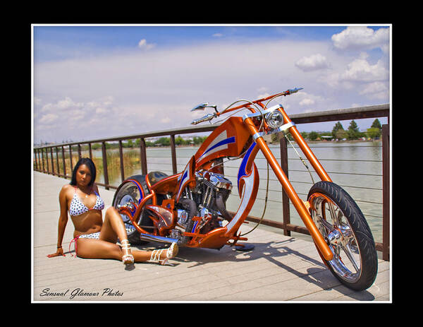 Custom Built Harley Davidson Poster featuring the photograph H-D_d by Walter Herrit