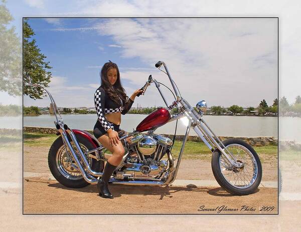 Custom Built Harley Davidson Poster featuring the photograph H-D_f by Walter Herrit