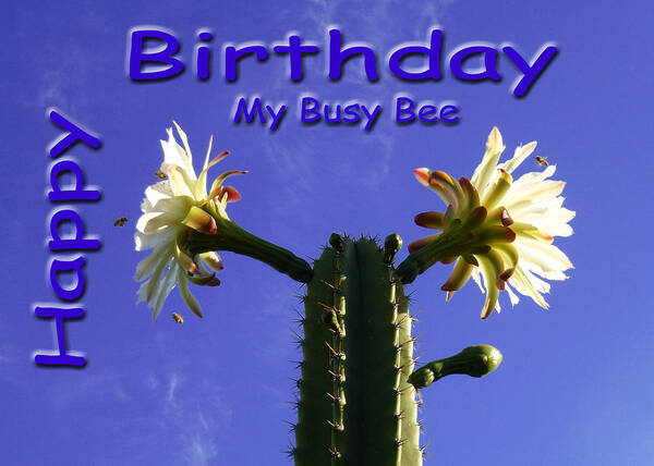 Birthday Poster featuring the photograph Happy Birthday Card And Print 5 by Mariusz Kula