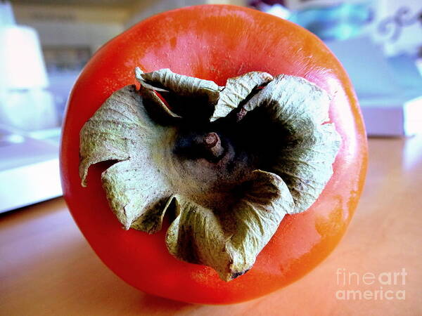 Persimmon Poster featuring the photograph Heart Shaped Persimmon by Mars Besso