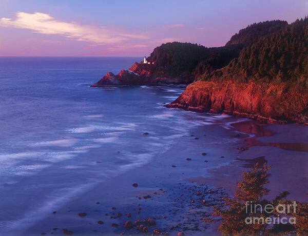 North America Poster featuring the photograph Heceta Head Lighthouse at Sunset Oregon coast by Dave Welling