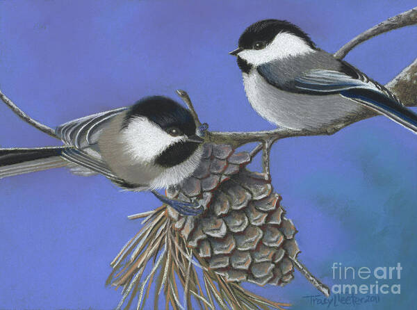 Bird Poster featuring the pastel Hello Chickadees by Tracy L Teeter 