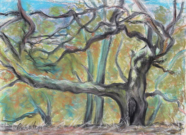 Landscape Painting Poster featuring the pastel Hidden Oak and Canyon in Briones Park by Asha Carolyn Young