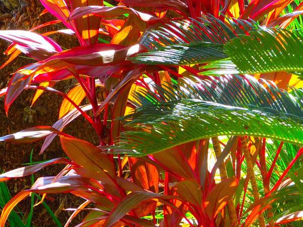 Landscape Plants Poster featuring the photograph Highlights by Gayle Price Thomas