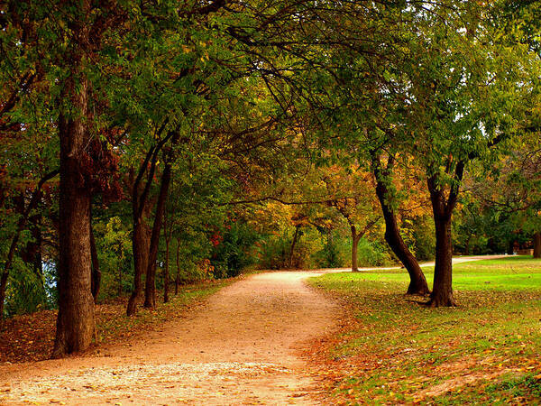 Hike And Bike Trail Poster featuring the photograph Hike And Bike Trail by James Granberry