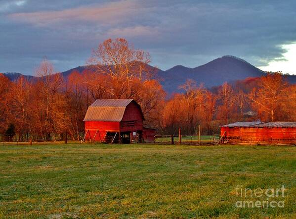  Poster featuring the photograph Hominy Valley Mornin' by Hominy Valley Photography